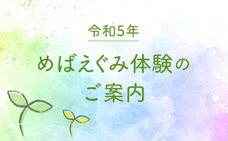 めばえぐみ体験