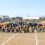 第６４回　運動会（幼稚園）